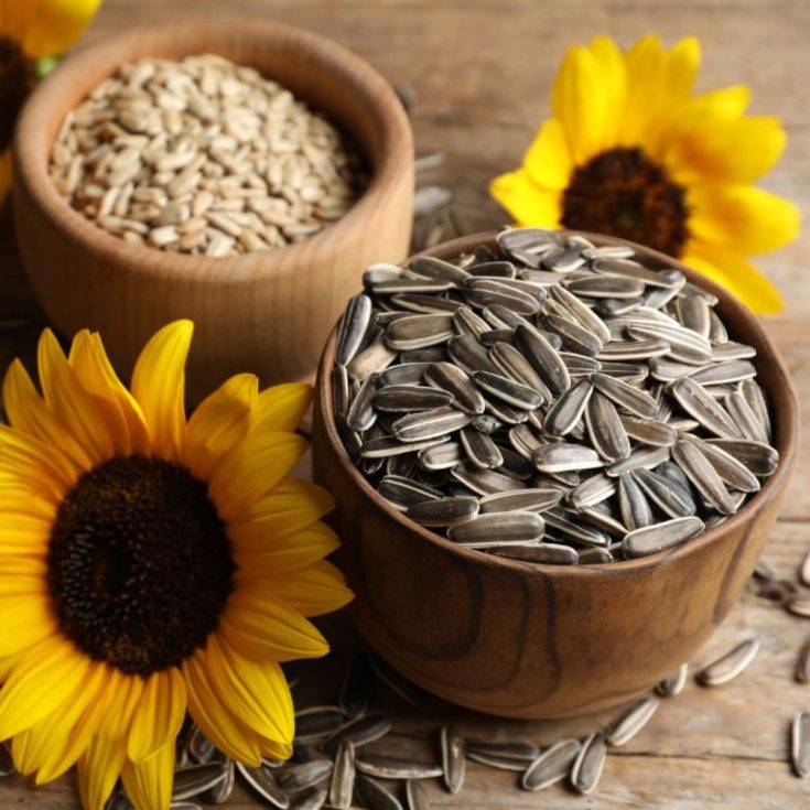 Two bowls of sunflower seeds.