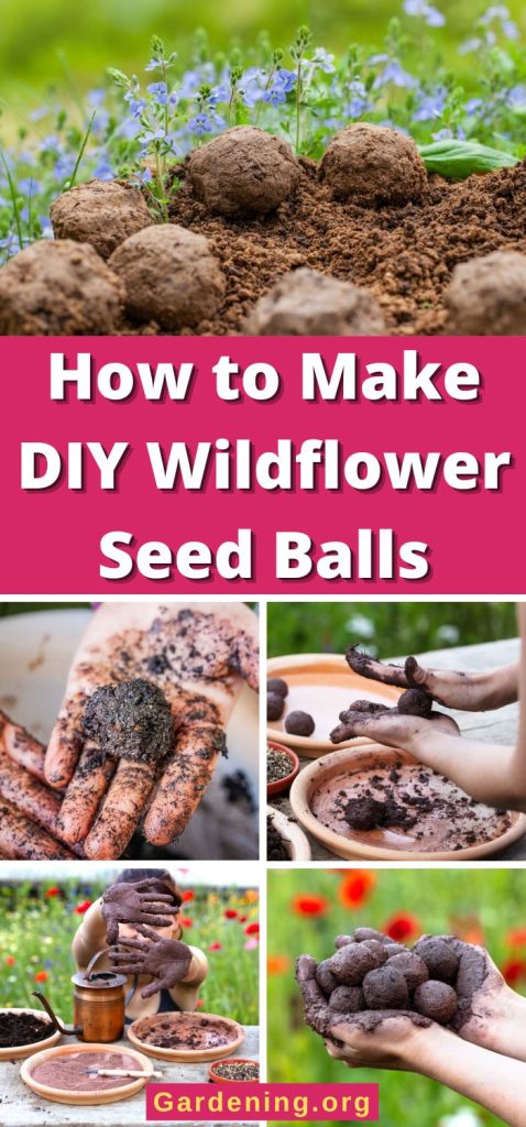 How to Make DIY Wildflower Seed Balls pinterest image.