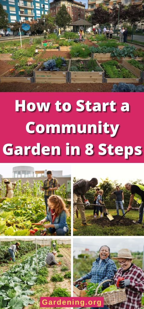 How to Start a Community Garden in 8 Steps pinterest image.