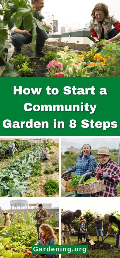 How to Start a Community Garden in 8 Steps pinterest image.