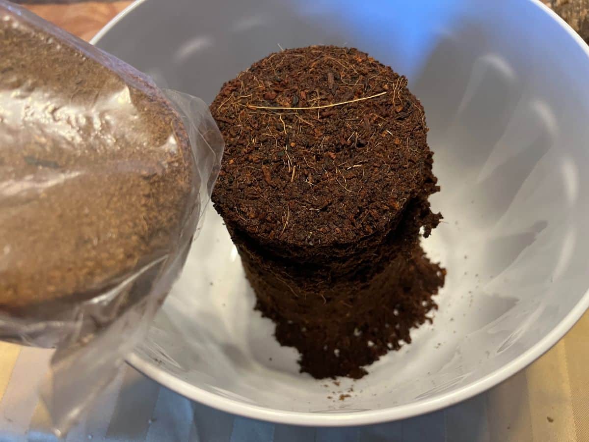 A dry disk of coco coir next to expanded material