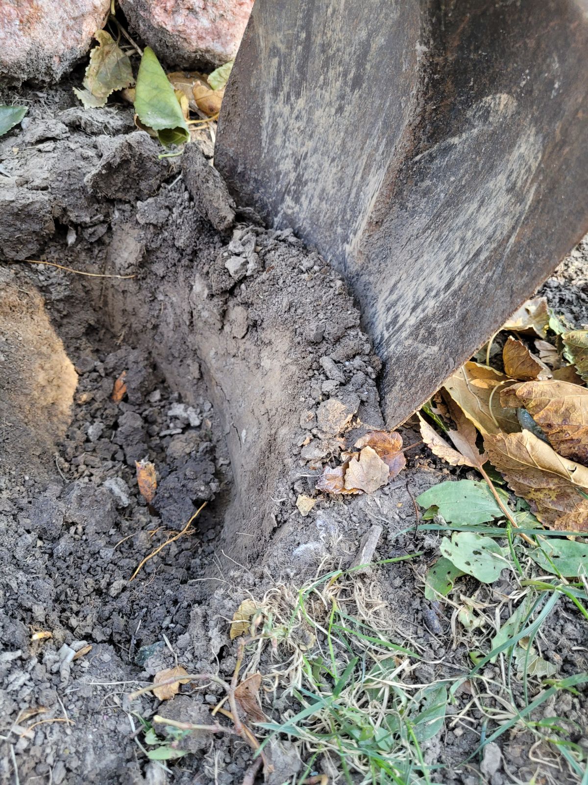 Digging to collect soil samples