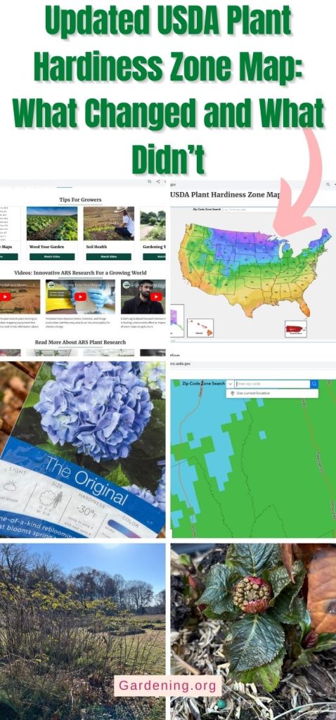 Updated USDA Plant Hardiness Zone Map: What Changed and What Didn’t pinterest image.