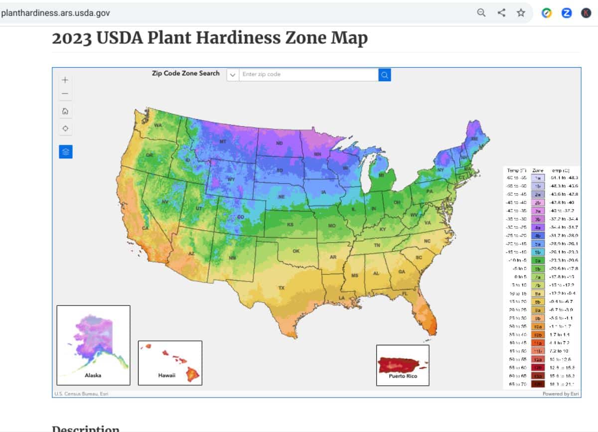 Updated USDA 2023 Plant Hardiness Zone Map