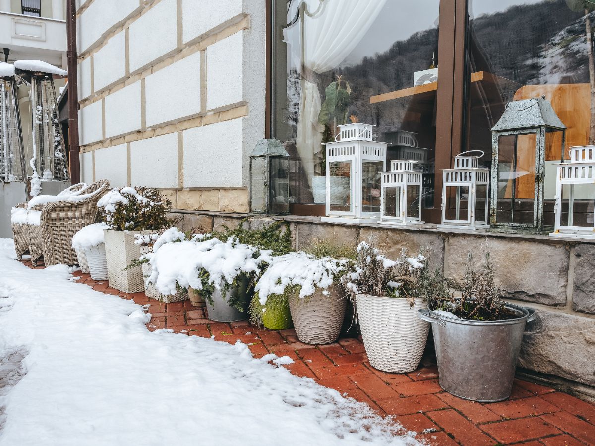 Potted plants in winter under an overhang