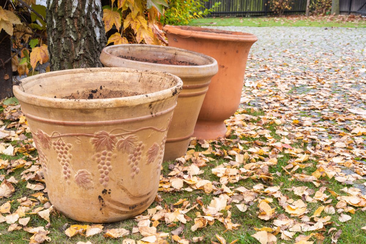 Large empty planting pots