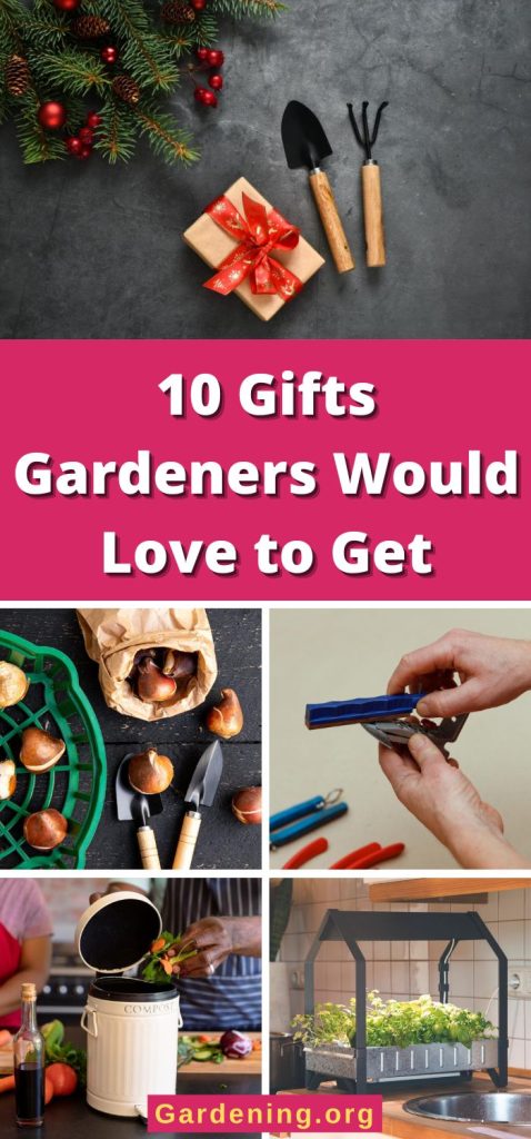 10 Gifts Gardeners Would Love to Get pinterest image.