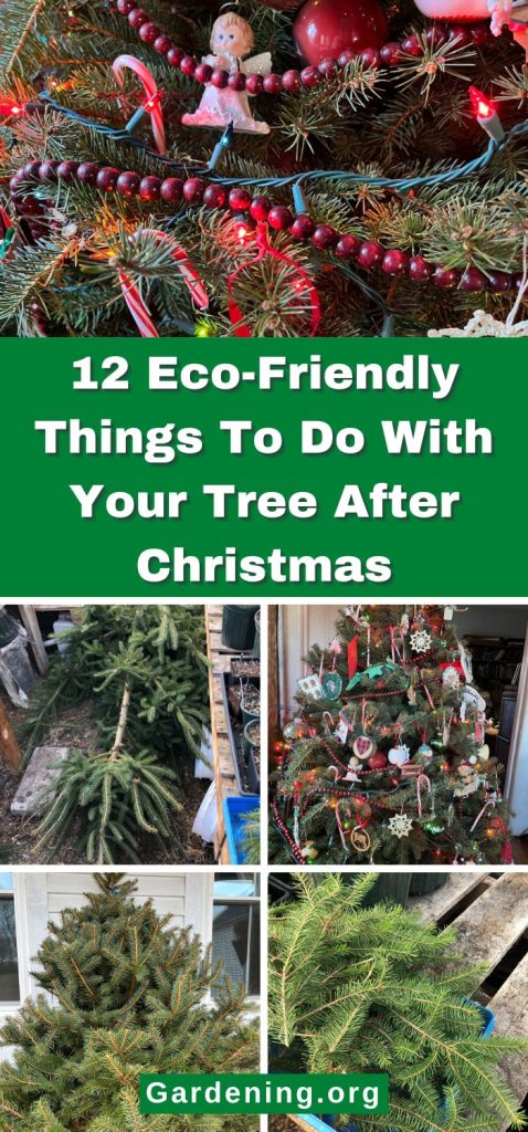 12 Eco-Friendly Things To Do With Your Tree After Christmas pinterest image.