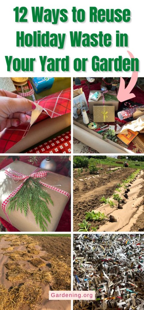 12 Ways to Reuse Holiday Waste in Your Yard or Garden pinterest image.