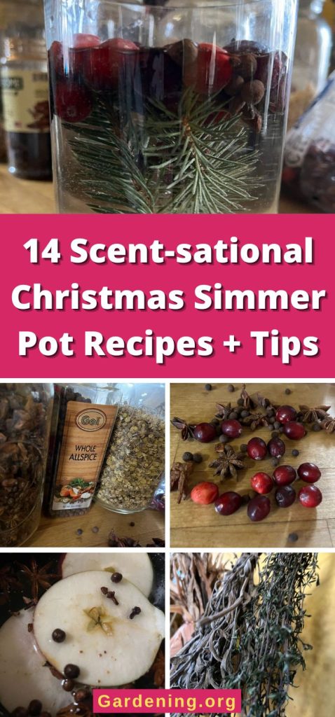 14 Scent-sational Christmas Simmer Pot Recipes + Tips pinterest image.