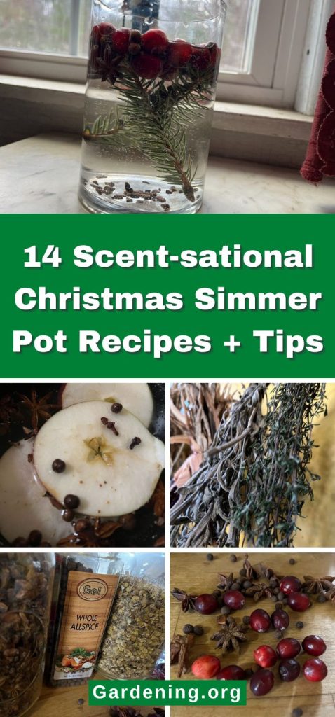 14 Scent-sational Christmas Simmer Pot Recipes + Tips pinterest image.