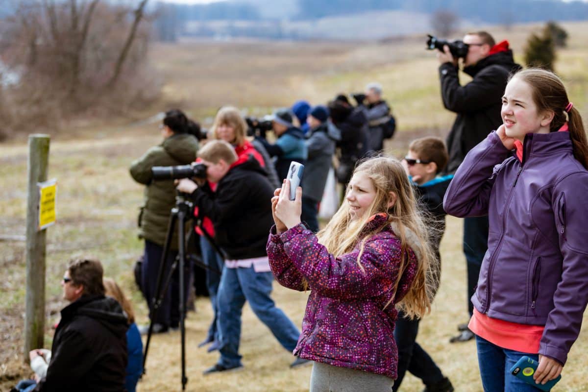 A group of bird watchers looking for snow geese