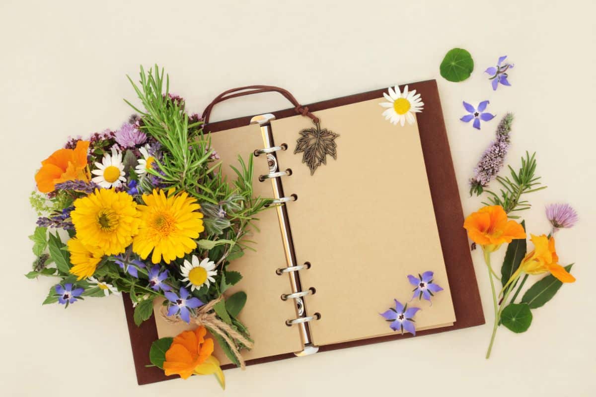 A garden journal surrounded by flowers