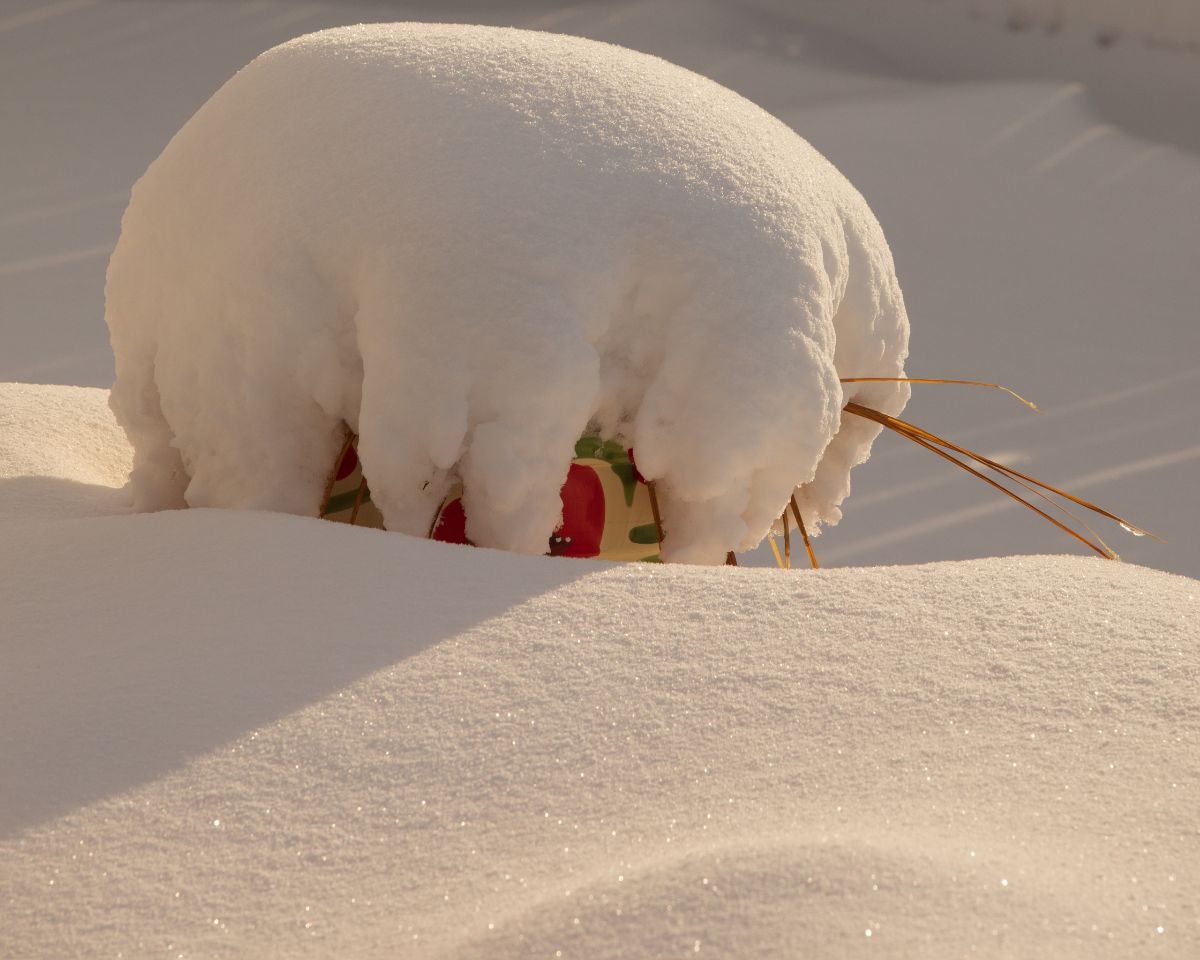 A plant container capped with snow and ice