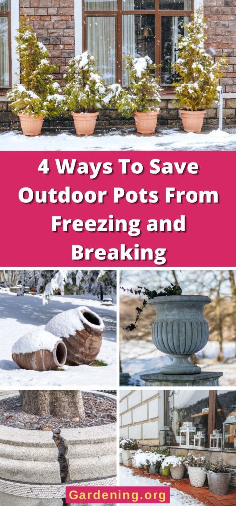 4 Ways To Save Outdoor Pots From Freezing and Breaking pinterest image.