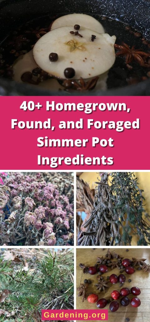 40+ Homegrown, Found, and Foraged Simmer Pot Ingredients pinterest image.