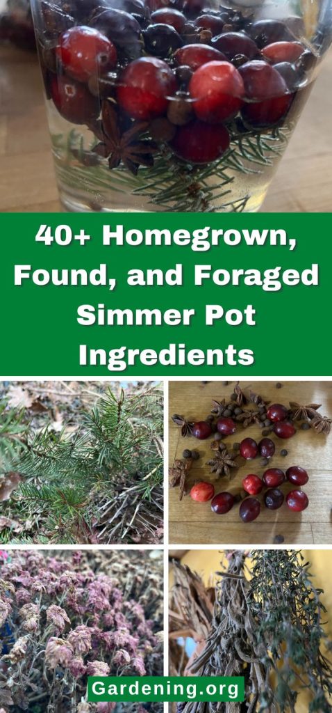 40+ Homegrown, Found, and Foraged Simmer Pot Ingredients pinterest image.
