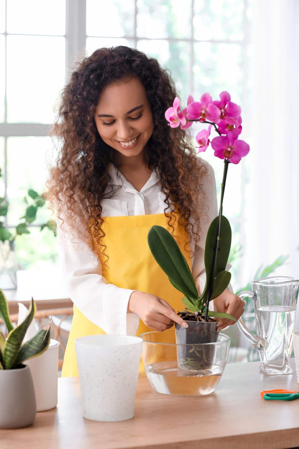 Watering an orchid in a bowl