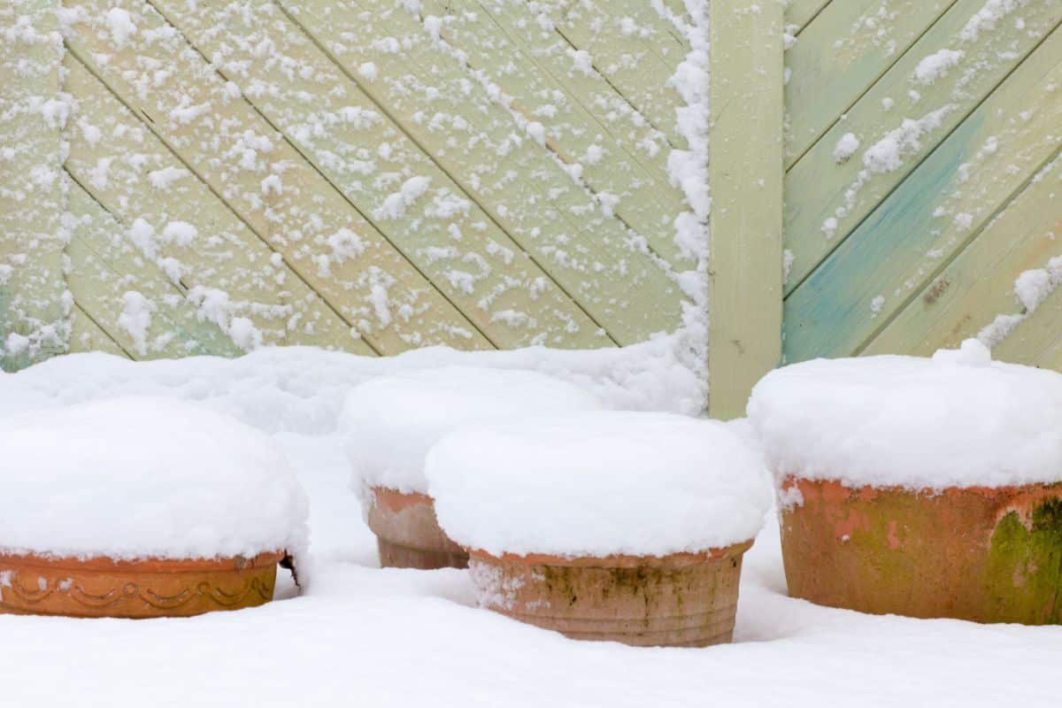 Pots sitting in freezing ice and snow