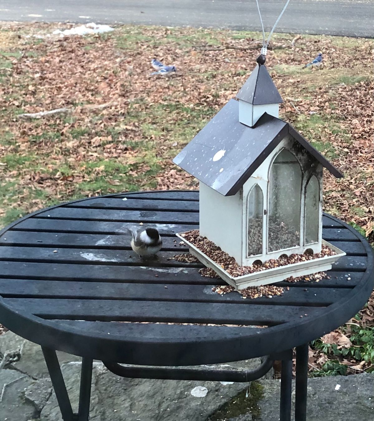 A chickadee on a table at a feeder