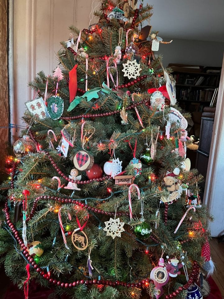 12 Eco-Friendly Things To Do With Your Tree After Christmas - Gardening