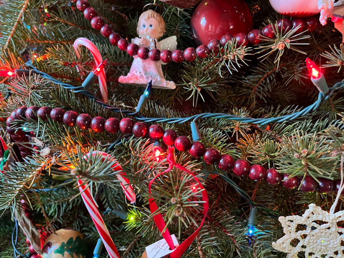 Decorations on a Christmas tree
