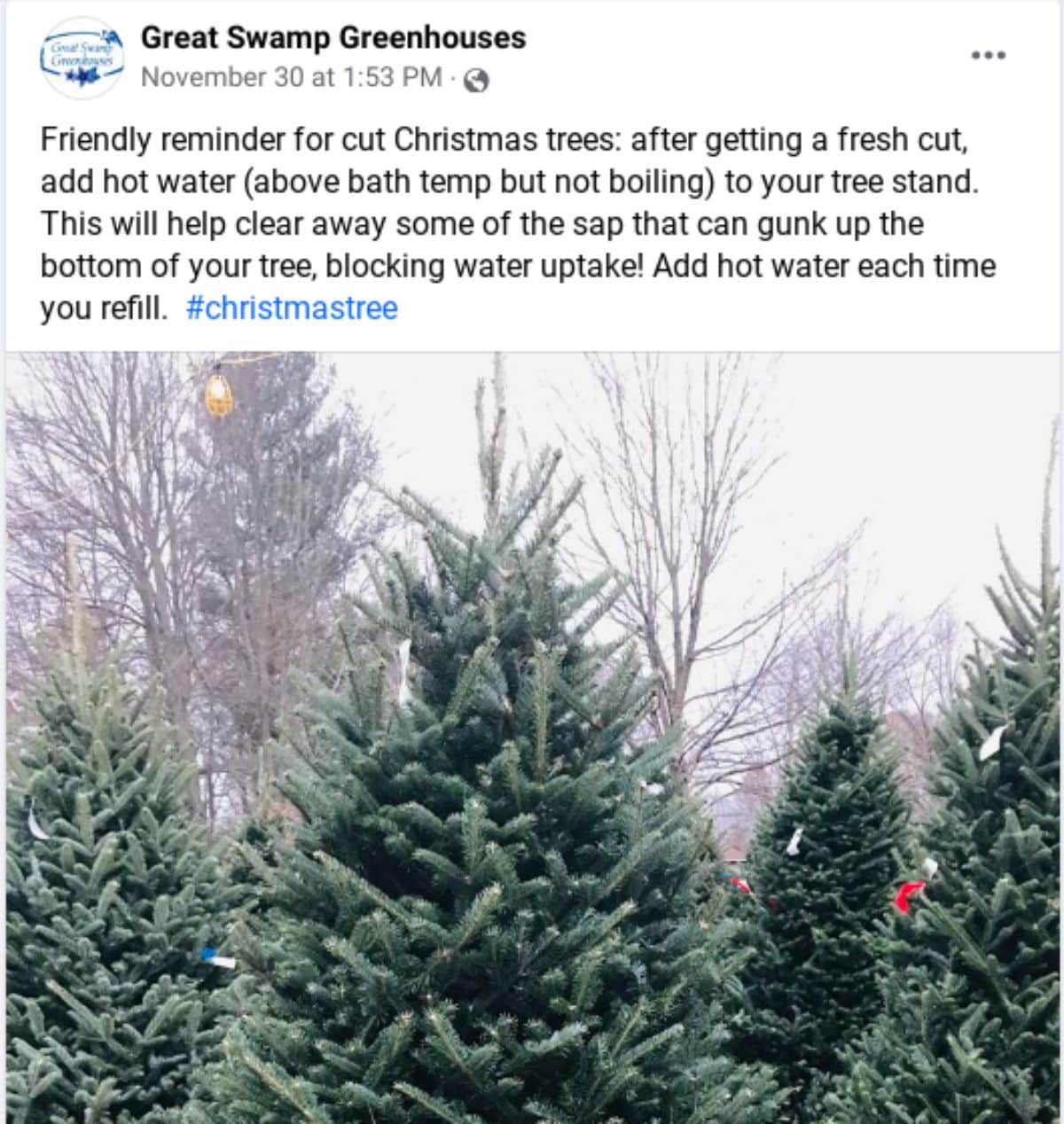 A social media post from a Christmas tree farm