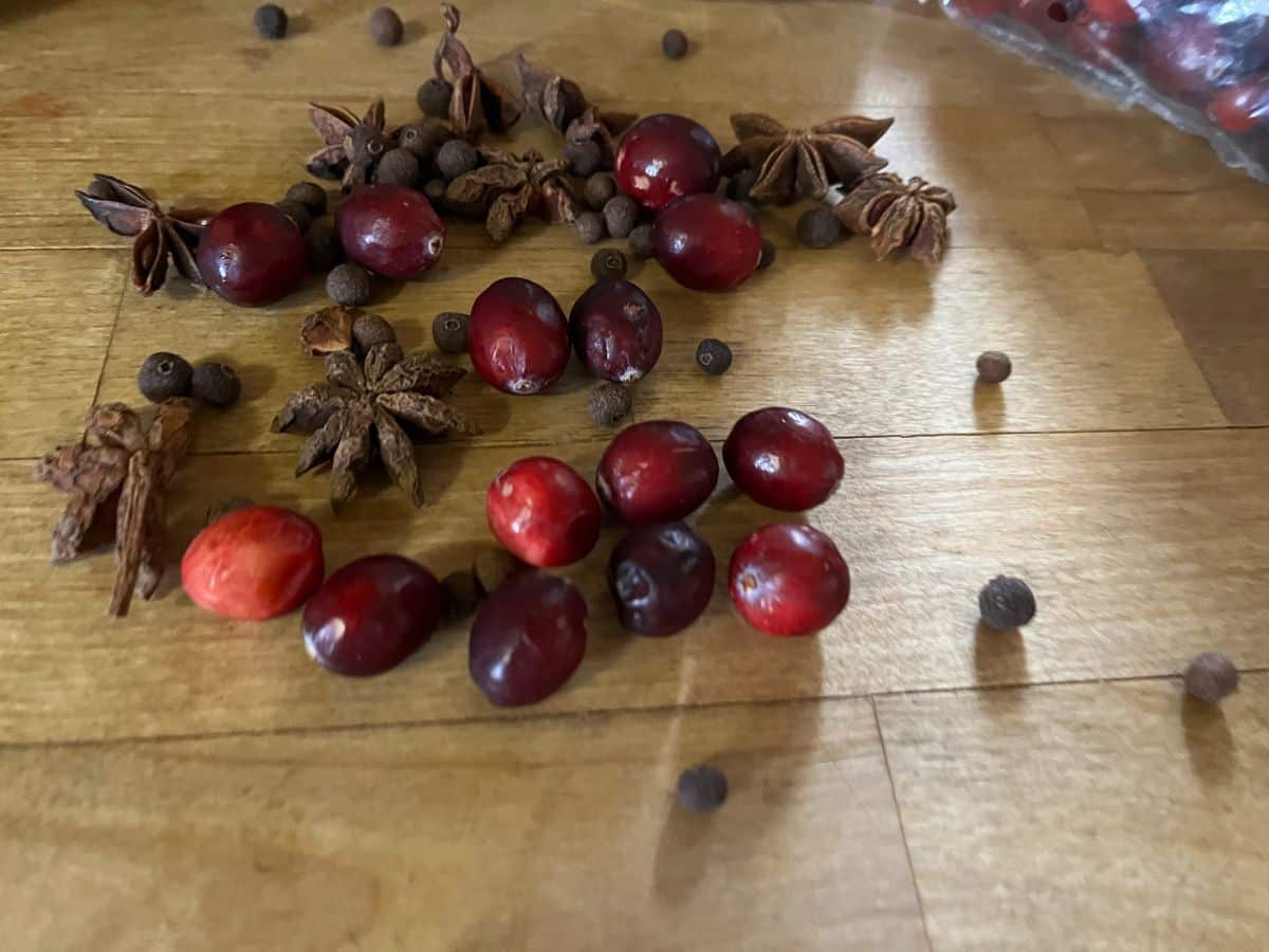 Cranberries and spices for a Christmas simmer pot