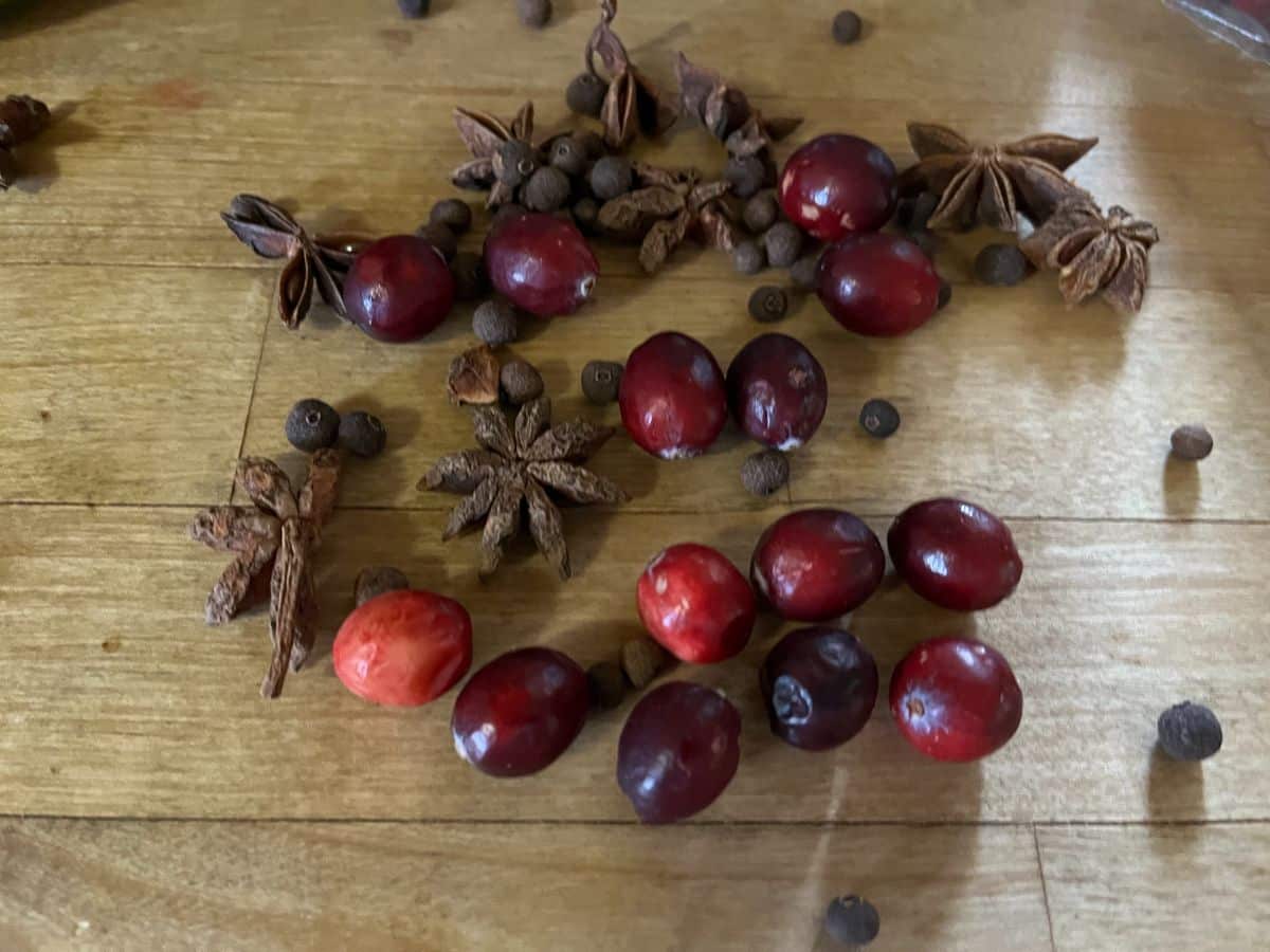 Cranberries and spices for a simmer pot