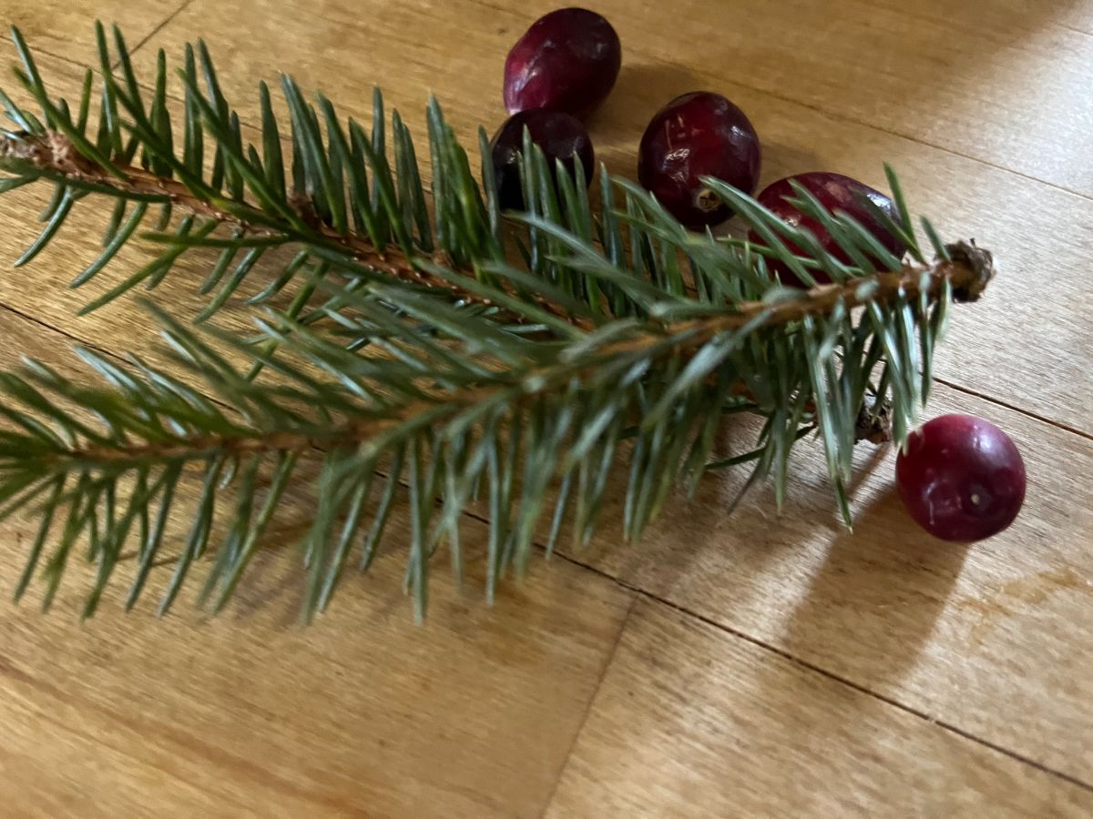 Sprigs of evergreen and cranberries