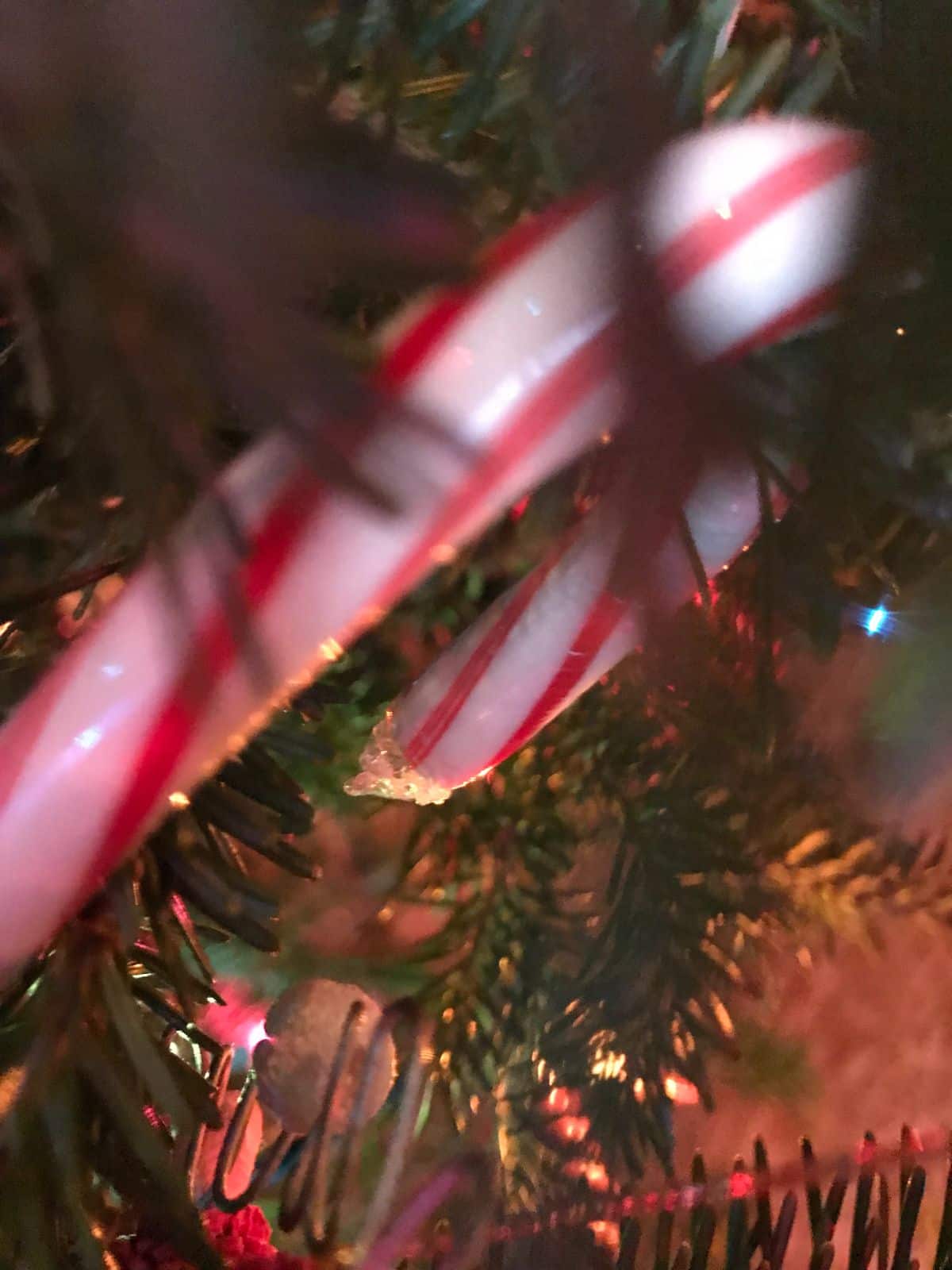 Christmas tree needles close up with lights and candy cane