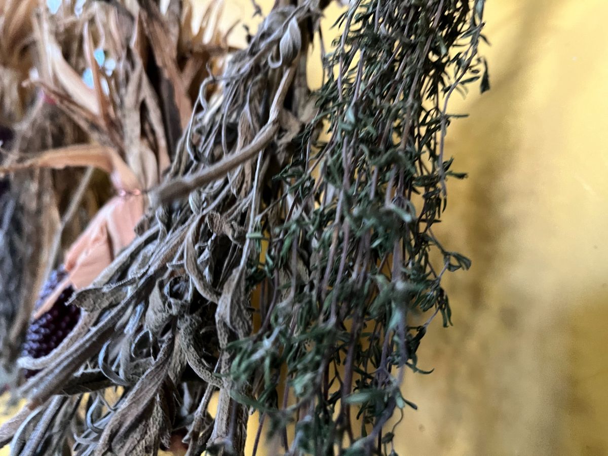Dried herbs hanging on a line in a kitchen