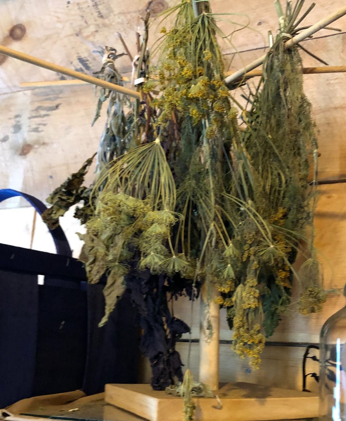 Bundles of herbs tied to a drying rack with up-cycled string
