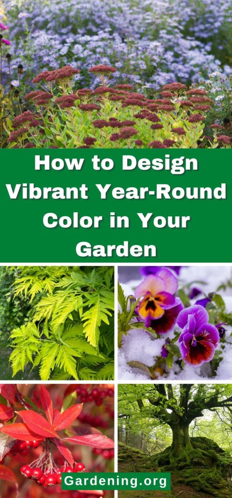 How to Design Vibrant Year-Round Color in Your Garden pinterest image.
