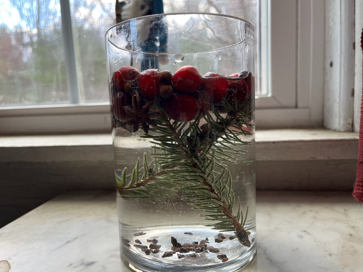 Evergreens, cranberries, and spices in a simmer pot