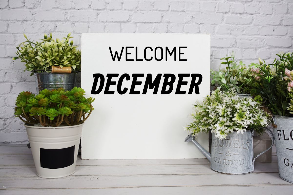 Welcome December sign with plants