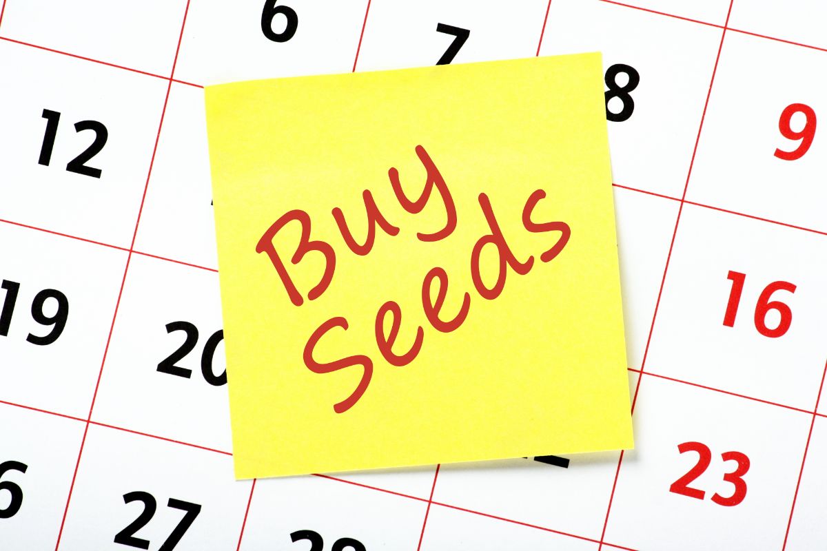 A note to 'buy seeds' on a calendar