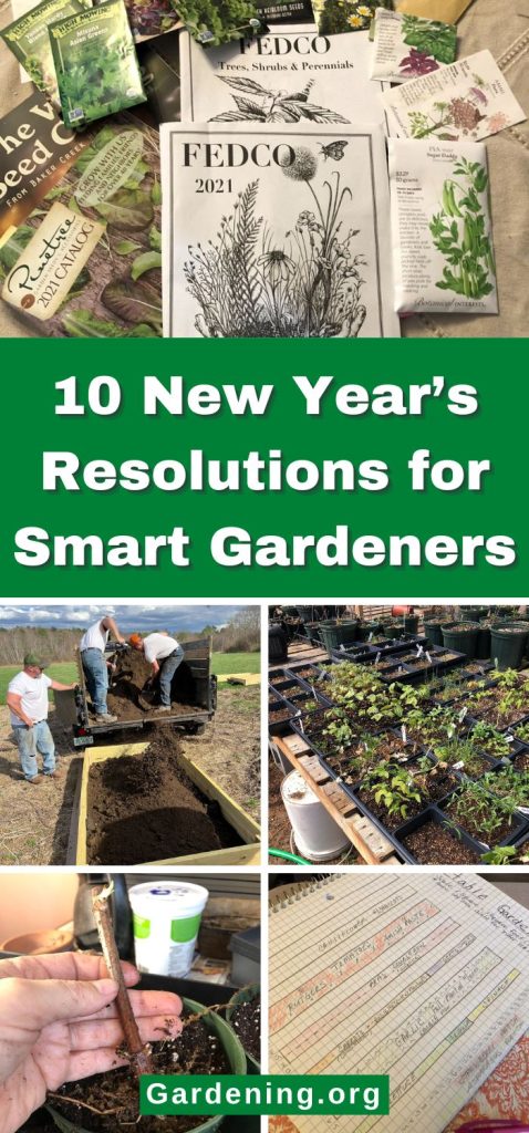 10 New Year’s Resolutions for Smart Gardeners pinterest image.