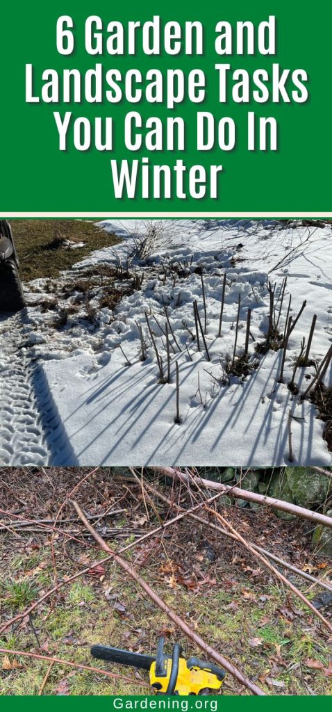6 Garden and Landscape Tasks You Can Do In Winter pinterest image.