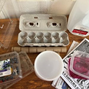Up-cycled Items to Start Saving for Seed Starting