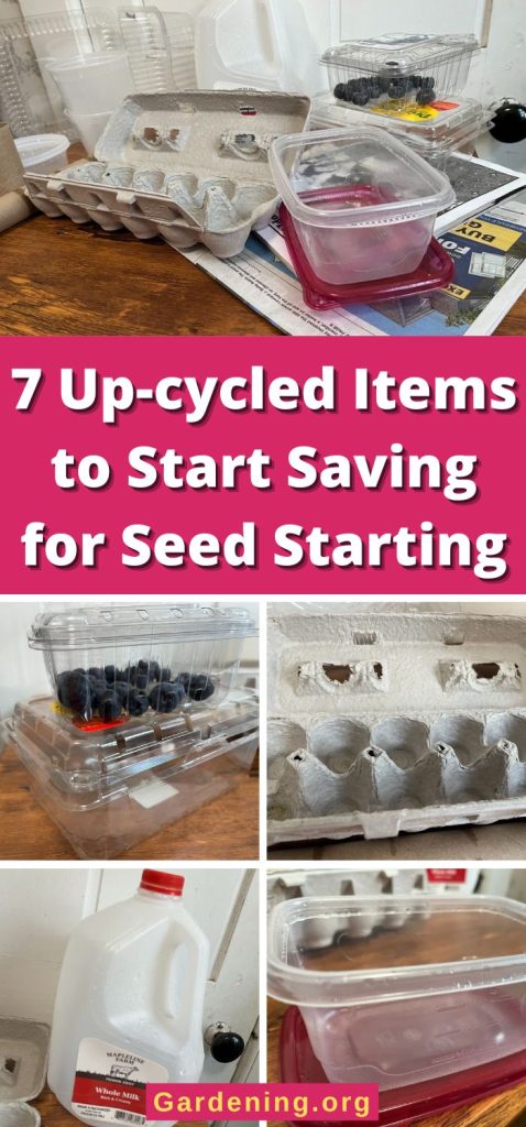 7 Up-cycled Items to Start Saving for Seed Starting pinterest image.
