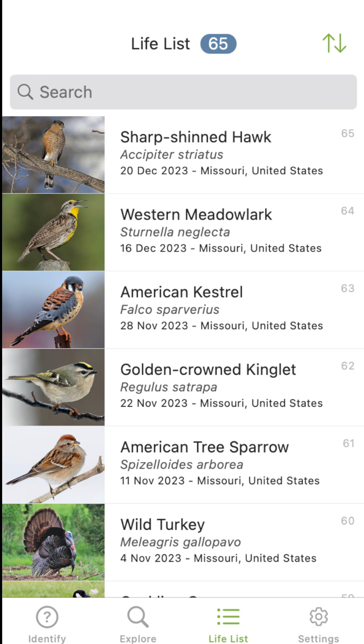 Screenshot of birds identified with the Merlin app