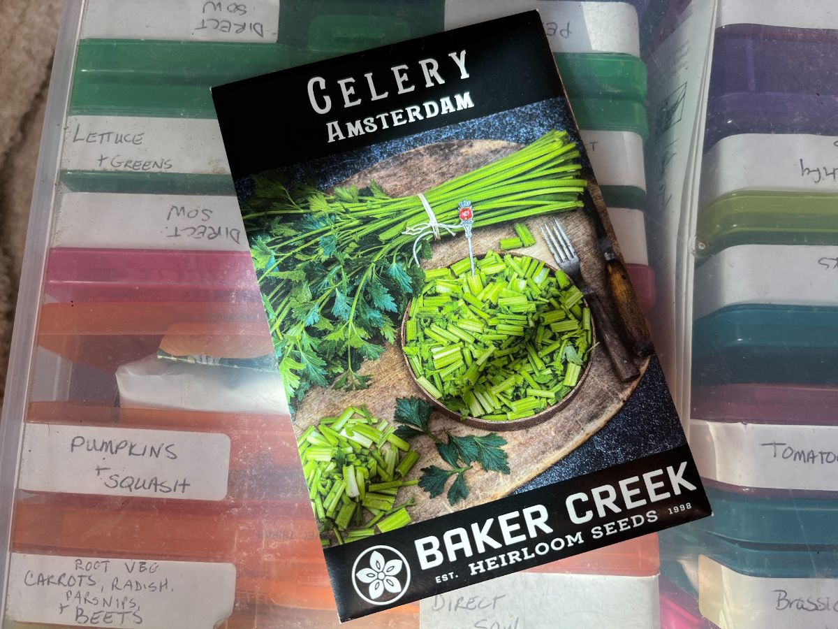 A packet of celery seed