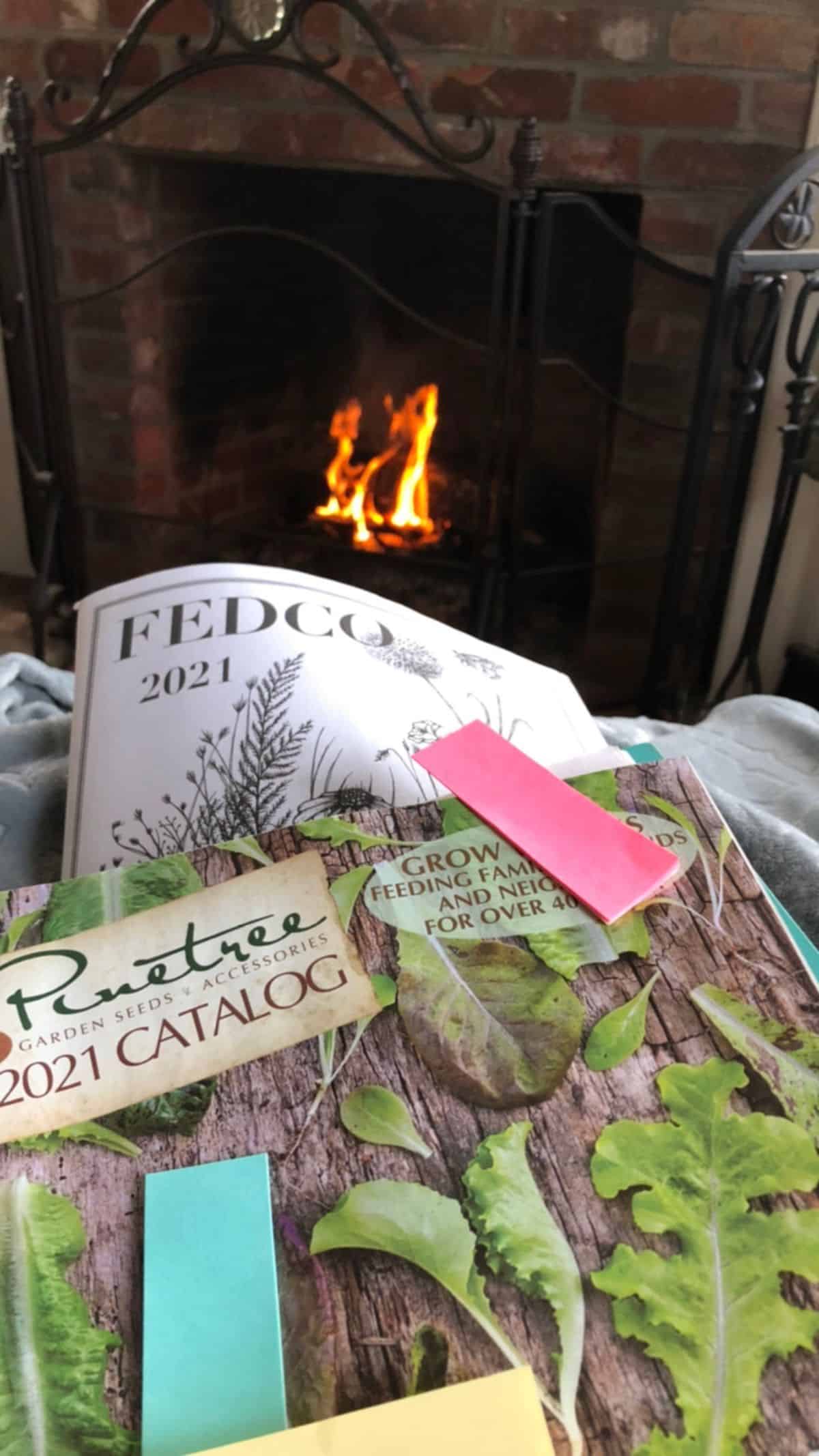Sitting by a fire with garden catalogs, planning