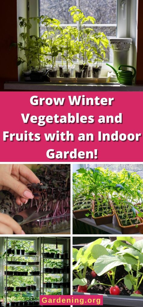 Grow Winter Vegetables and Fruits with an Indoor Garden! pinterest image.