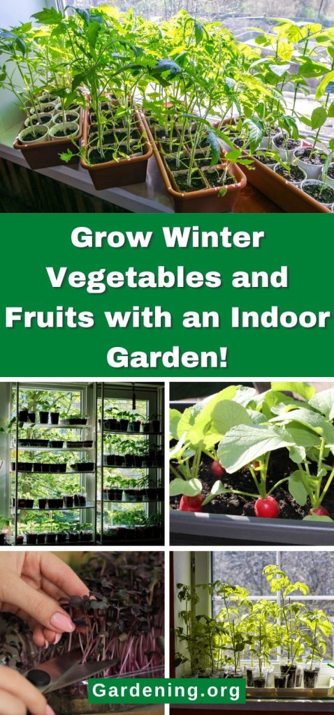 Grow Winter Vegetables and Fruits with an Indoor Garden! pinterest image.