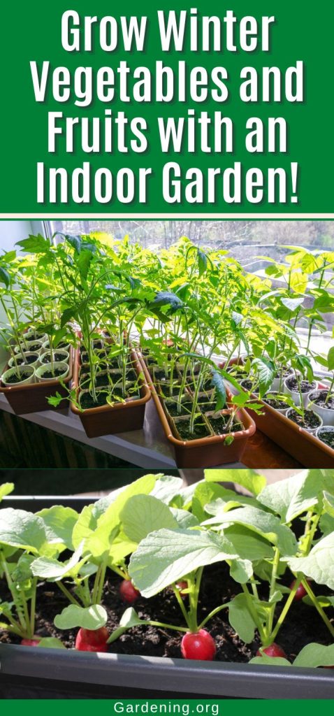 Grow Winter Vegetables and Fruits with an Indoor Garden! pinterest image.