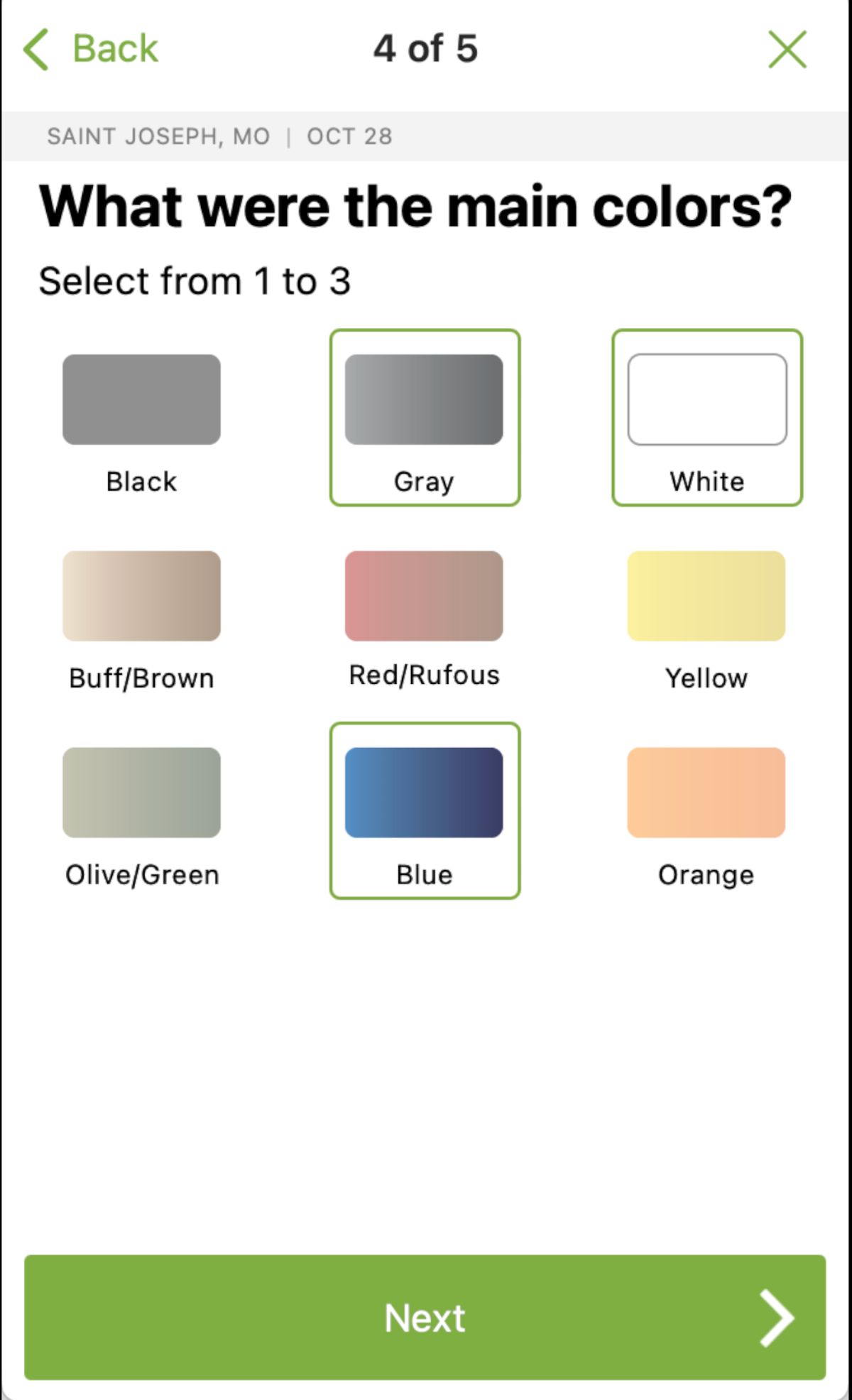 Color options for bird ID