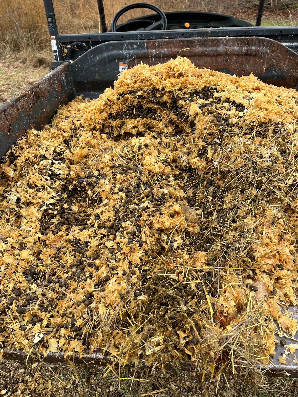 Rabbit manure and shavings ready to spread over winter ground
