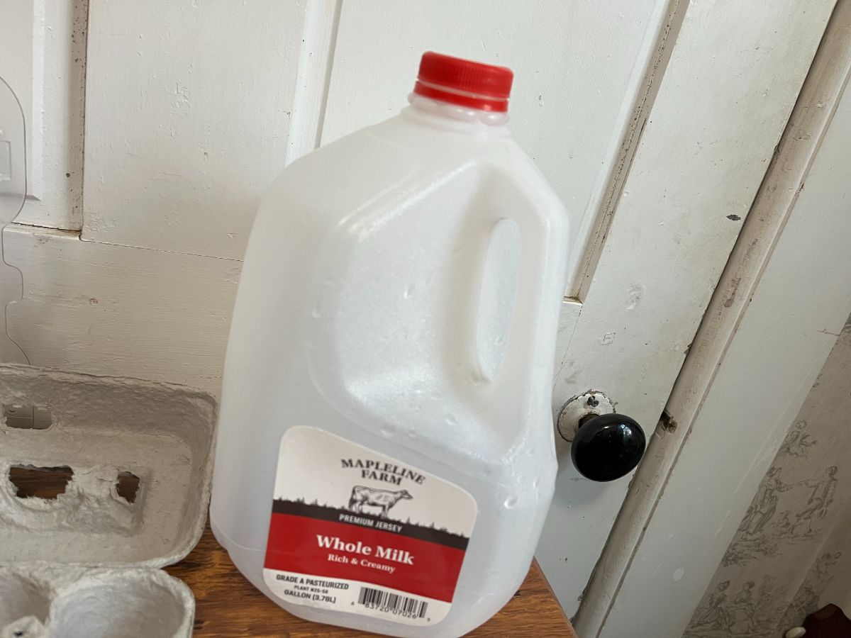 Gallon milk jug for winter sowing seeds